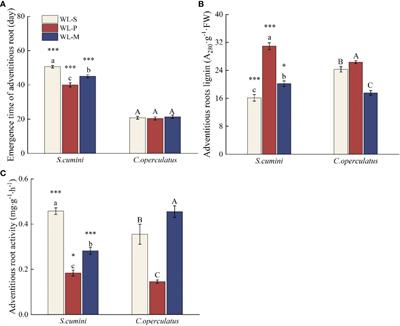 Intra- and interspecific ecophysiological responses to waterlogging stress in two contrasting waterlogging-tolerant arbor species